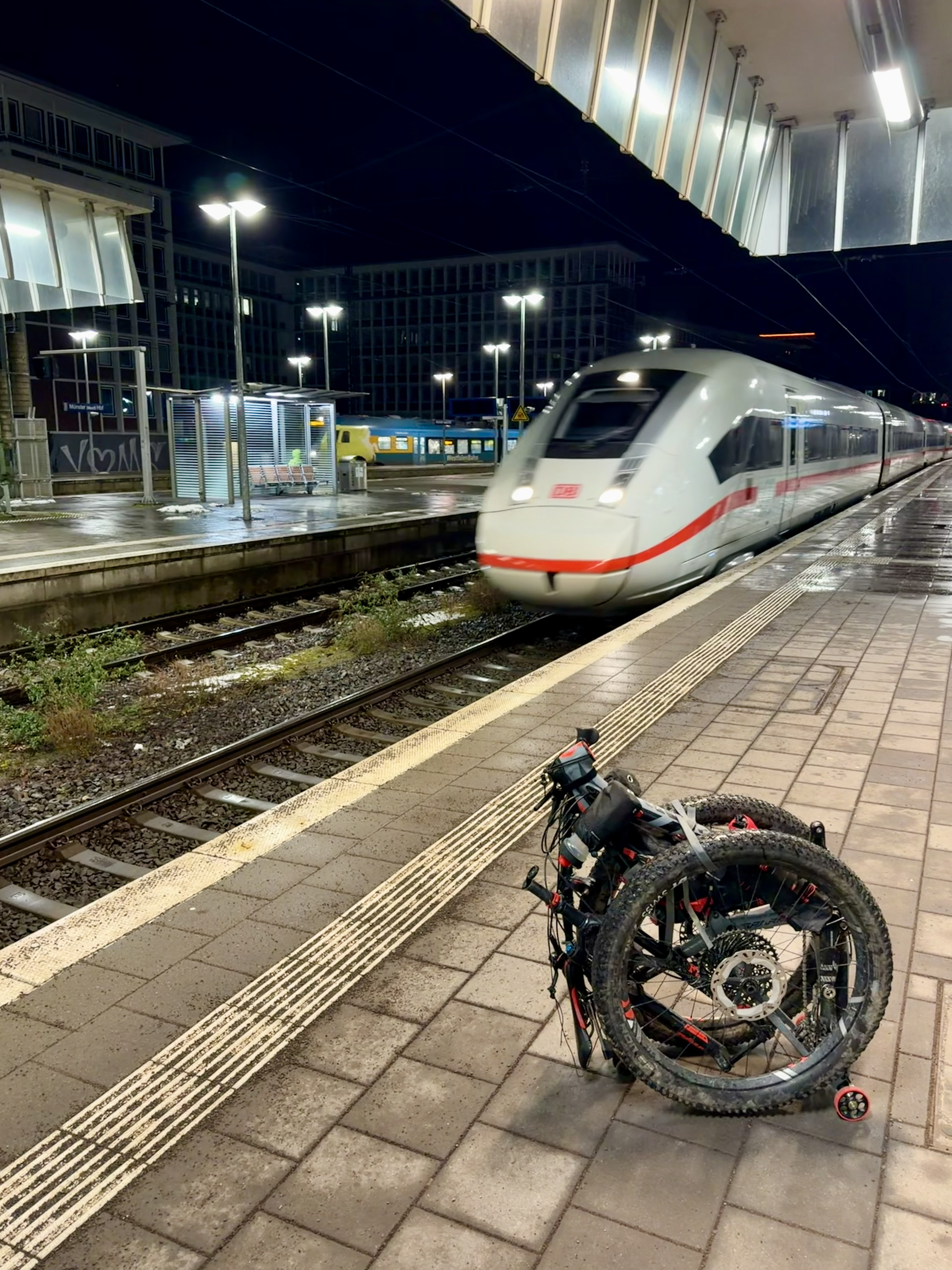 Rinko Roller Pro – Deutsch